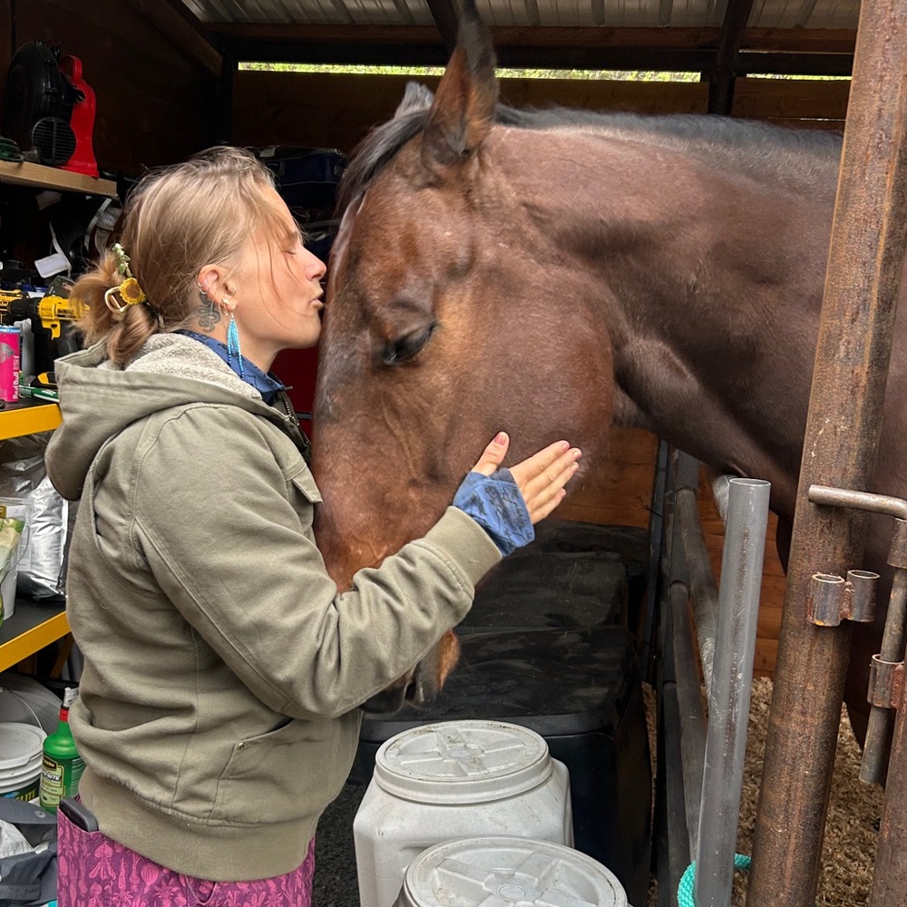 Unlisted item- latest horse in the rescue